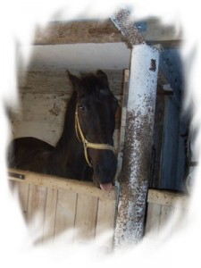 Obrazek